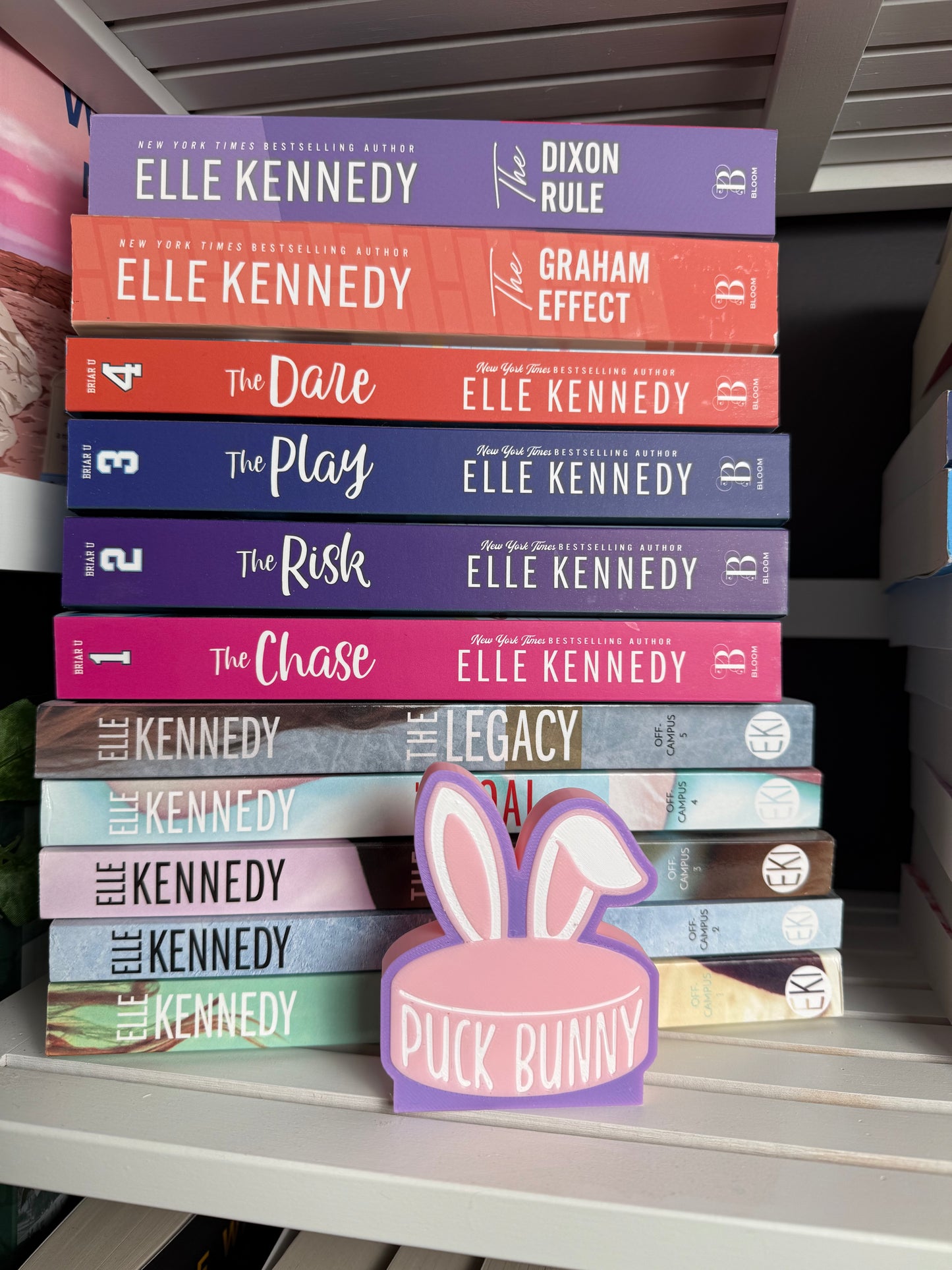 3D - Bookshelf Decor - Puck Bunny
