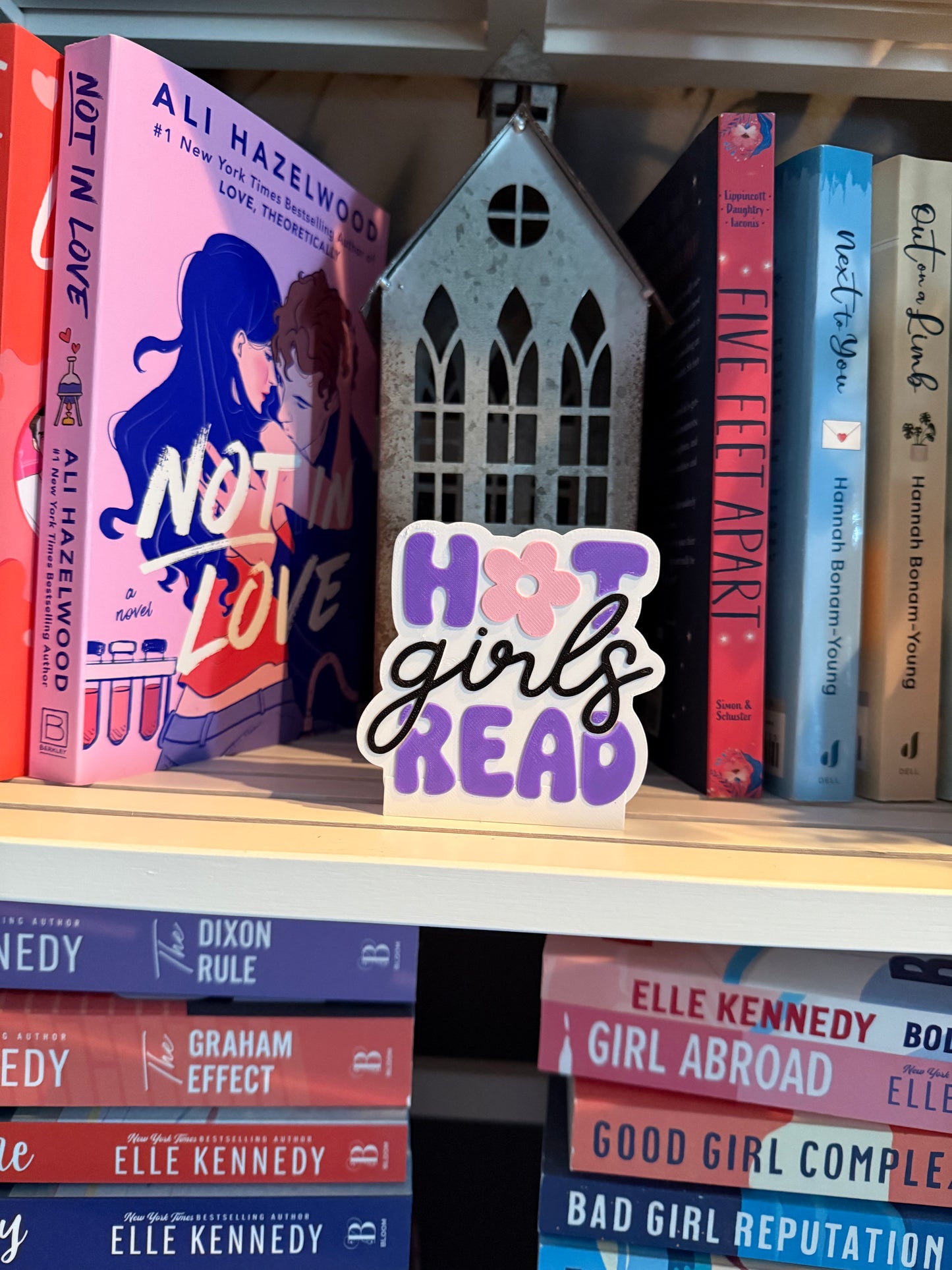 3D - Bookshelf Decor - Hot Girls Read